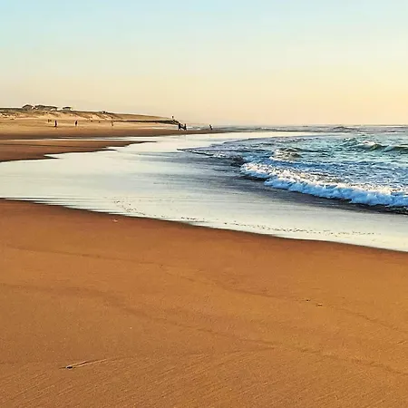 De La Foret By Interhome Mimizan-Plage