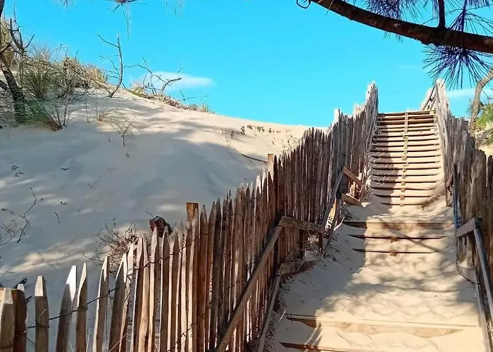 De La Foret By Interhome Mimizan-Plage