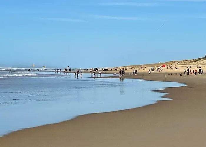 Appartement De La Foret By Interhome Mimizan-Plage