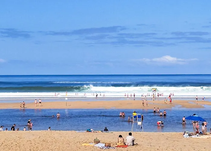 De La Foret By Interhome Appartement