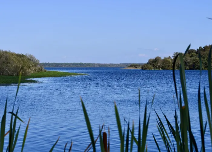 De La Foret By Interhome *